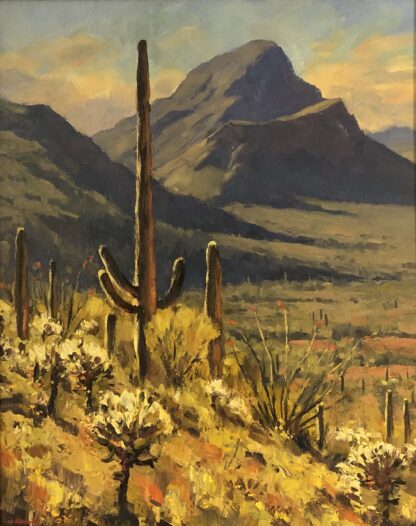 Mark Daniels - Tucson Mountain Park